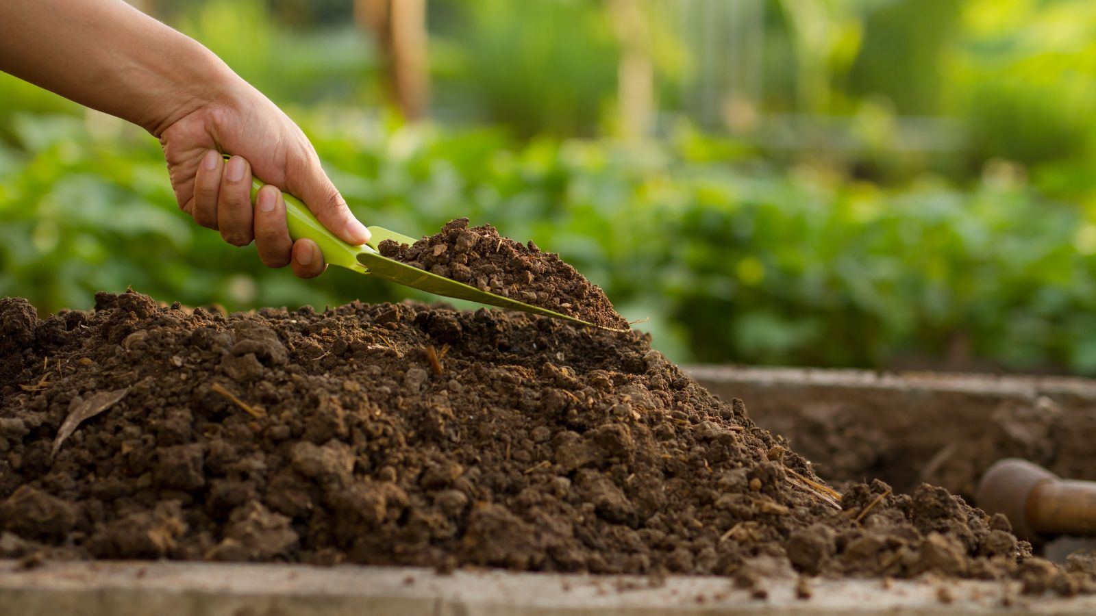 A focused shot of a person's hand using a small green shovel prepping a soil bed in a well lit area outdoors.