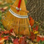 12 Fall Backyard Care Recommendations for Inexperienced, Lush Spring Grass