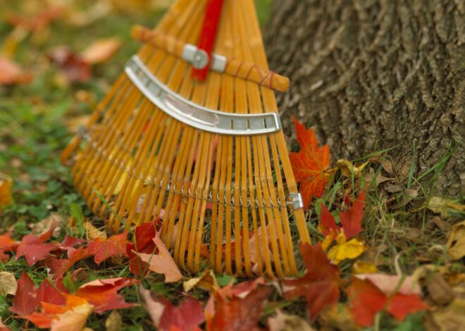 12 Fall Backyard Care Recommendations for Inexperienced, Lush Spring Grass