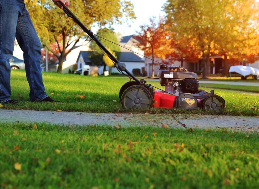 When to Stop Mowing Your Backyard for the Season