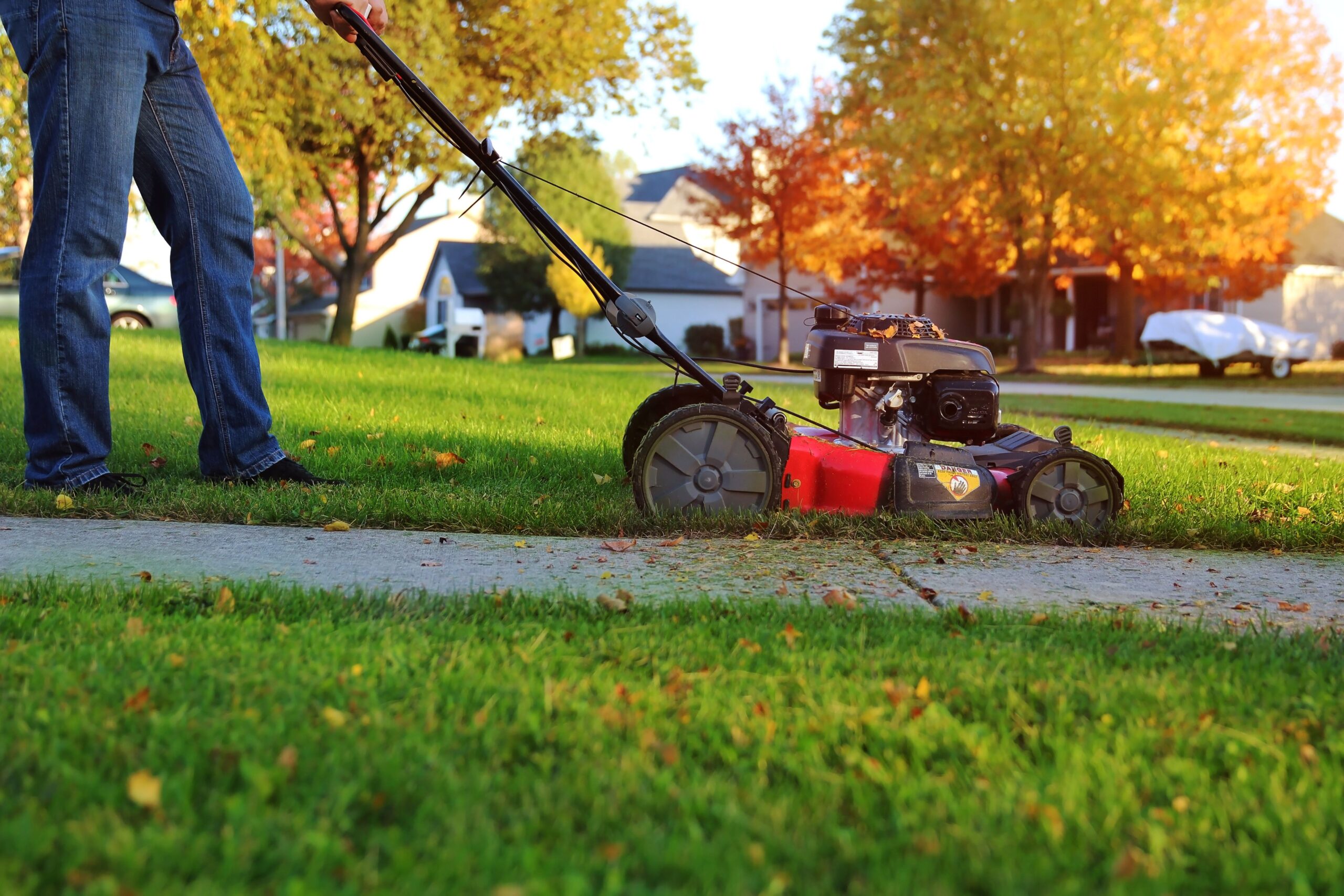 When to Stop Mowing Your Backyard for the Season