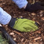 Can You Mulch inside the Fall? 5 Causes Why You Must