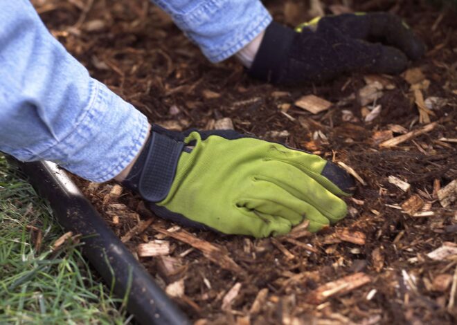 Can You Mulch inside the Fall? 5 Causes Why You Must