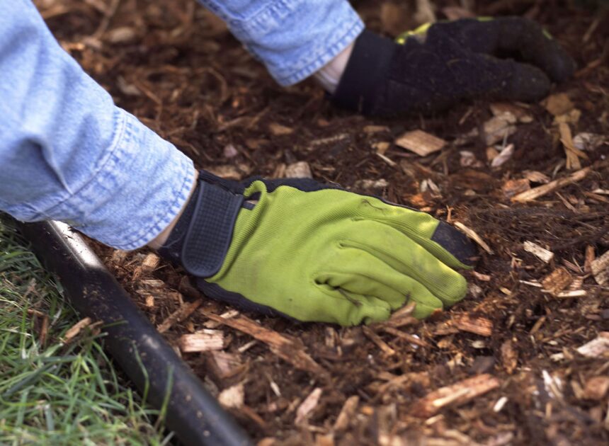 Can You Mulch inside the Fall? 5 Causes Why You Must