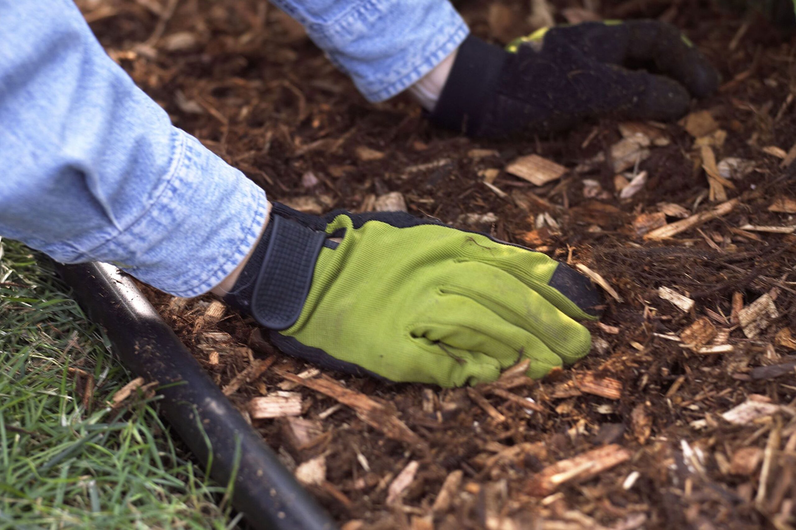 Can You Mulch inside the Fall? 5 Causes Why You Must