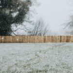 Tips about tips on how to Winterize a Backyard for the Chilly Months Ahead