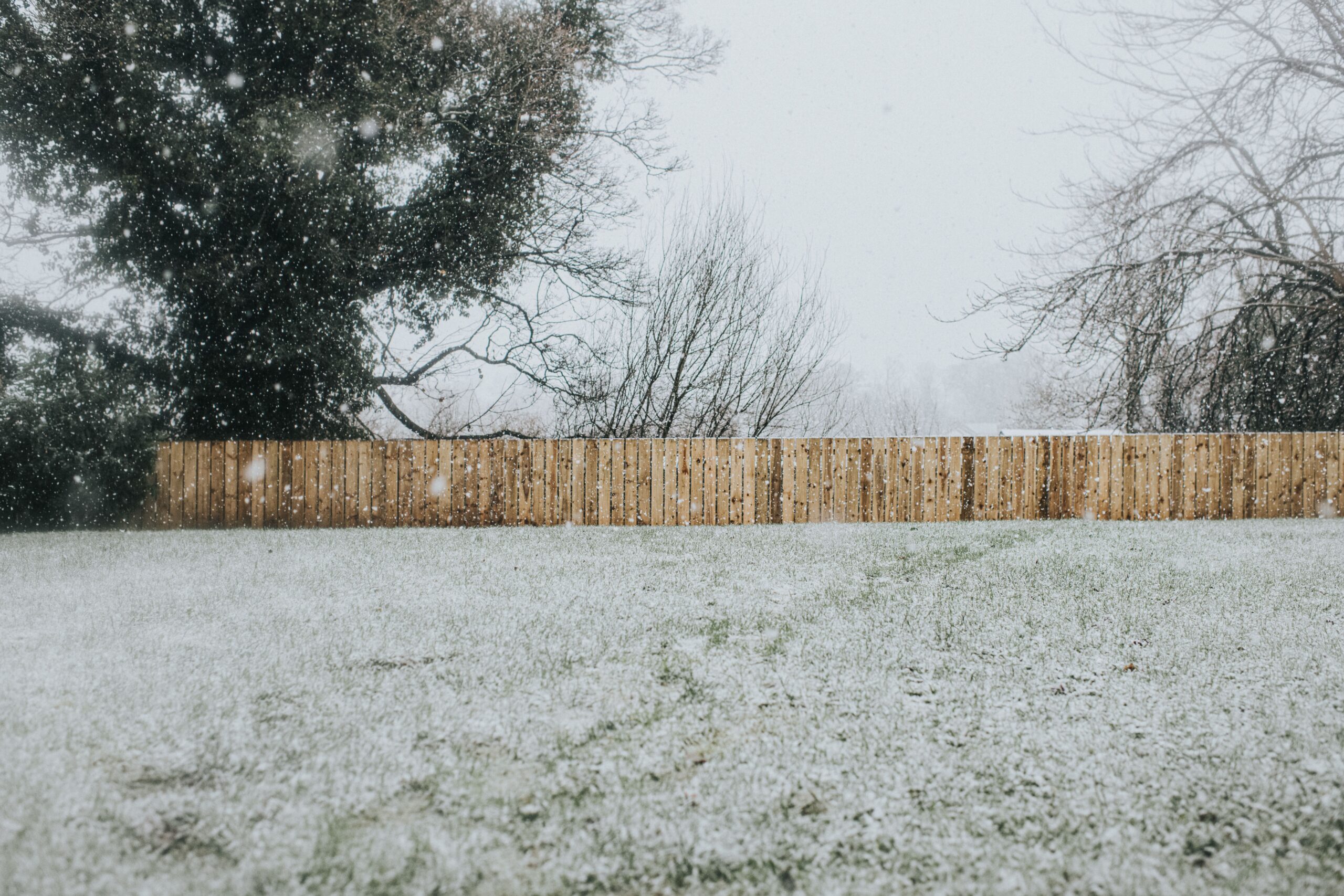 Tips about tips on how to Winterize a Backyard for the Chilly Months Ahead